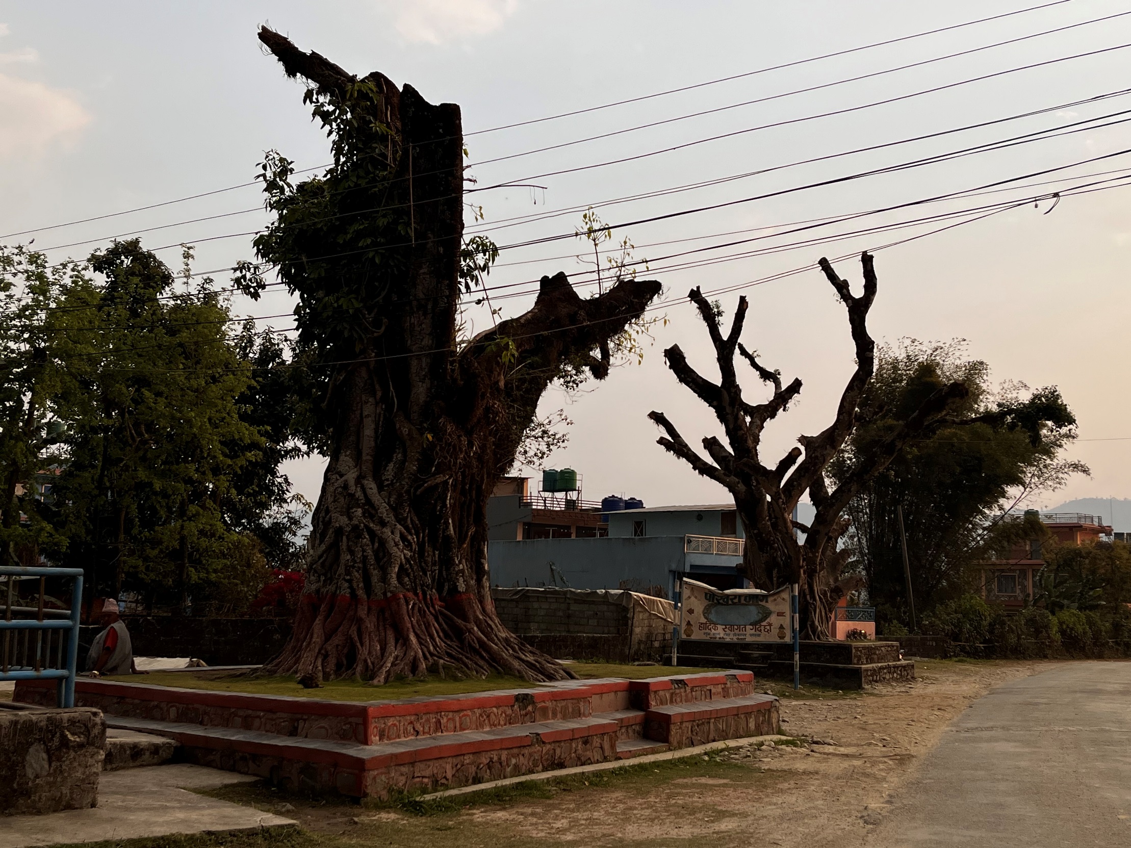 bar pipal pokhara (4).JPG